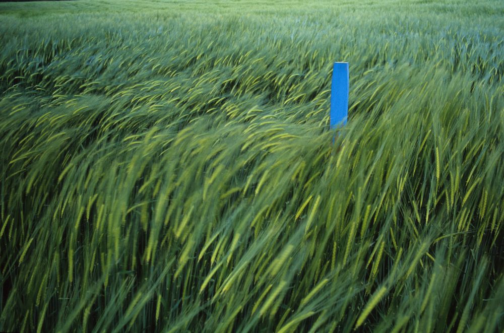 9. Platz Michael Mayer